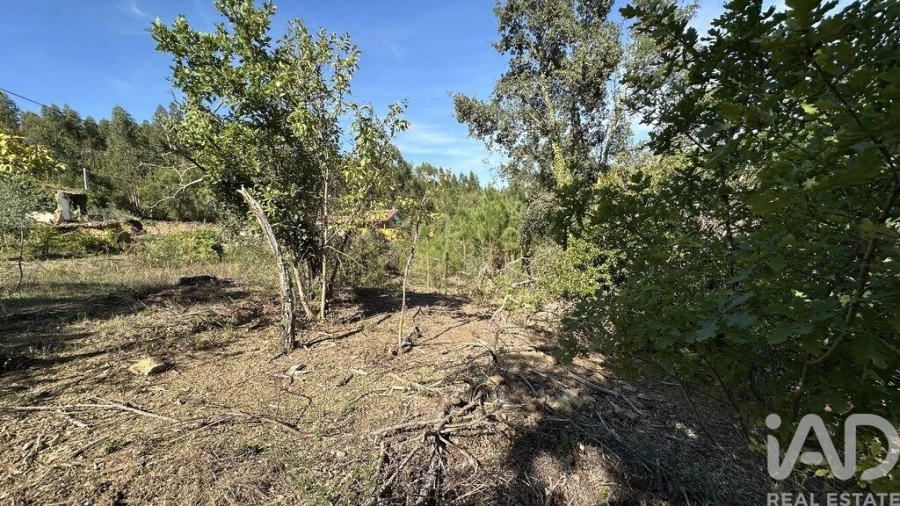 Terreno para Venda em Graça Foto 10