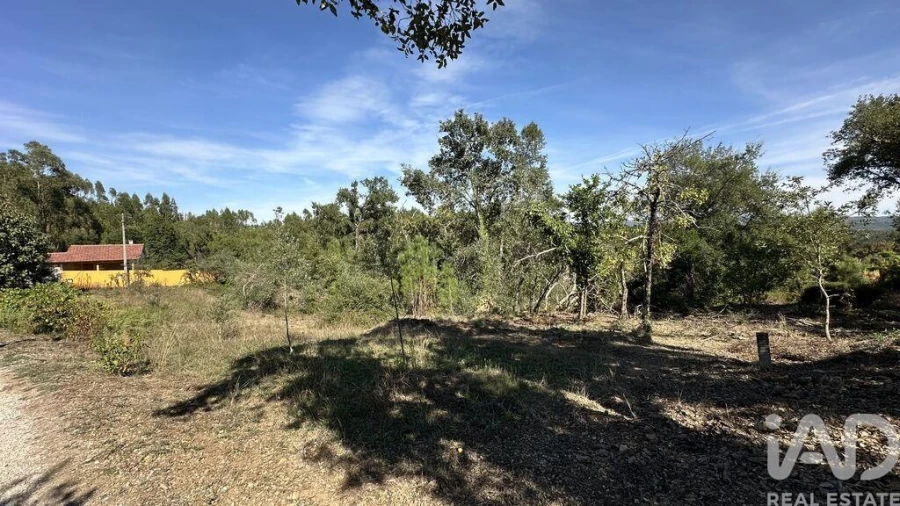 Terreno para Venda em Graça Foto 12