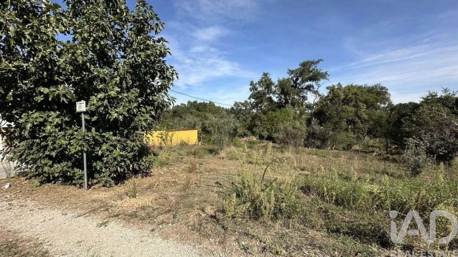 Terreno para Venda em Graça Foto 14