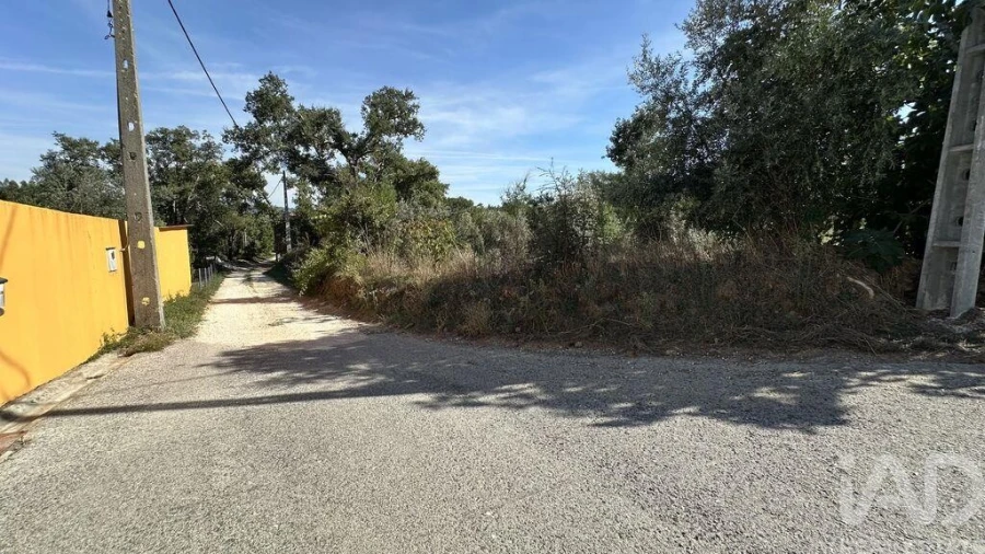 Terreno para Venda em Graça Foto 5