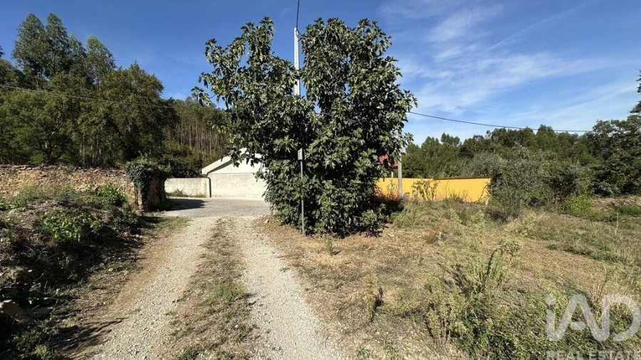 Terreno para Venda em Graça Foto 8