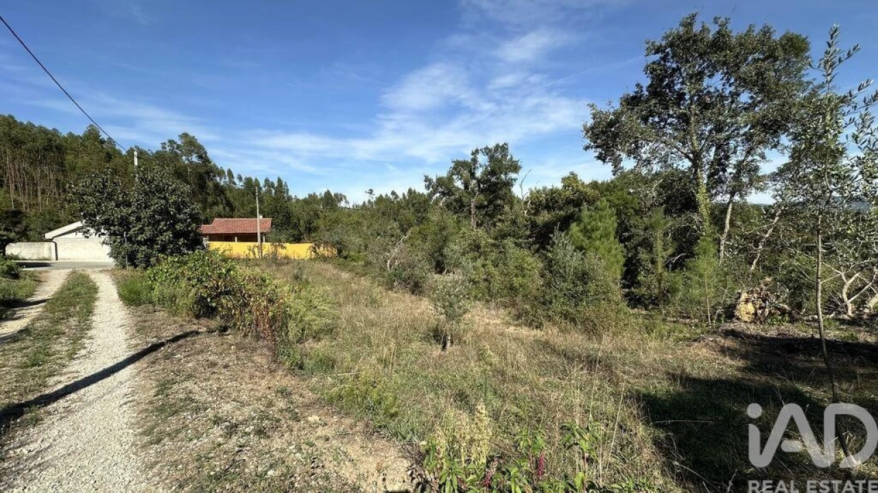 Terreno para Venda em Graça Foto 13
