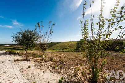 Moradia T3 para Venda em Carvalhal