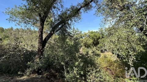 Terreno para Venda em Graça