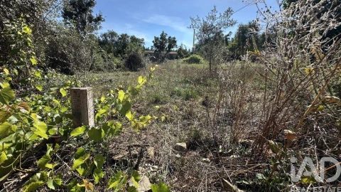 Terreno para Venda em Graça