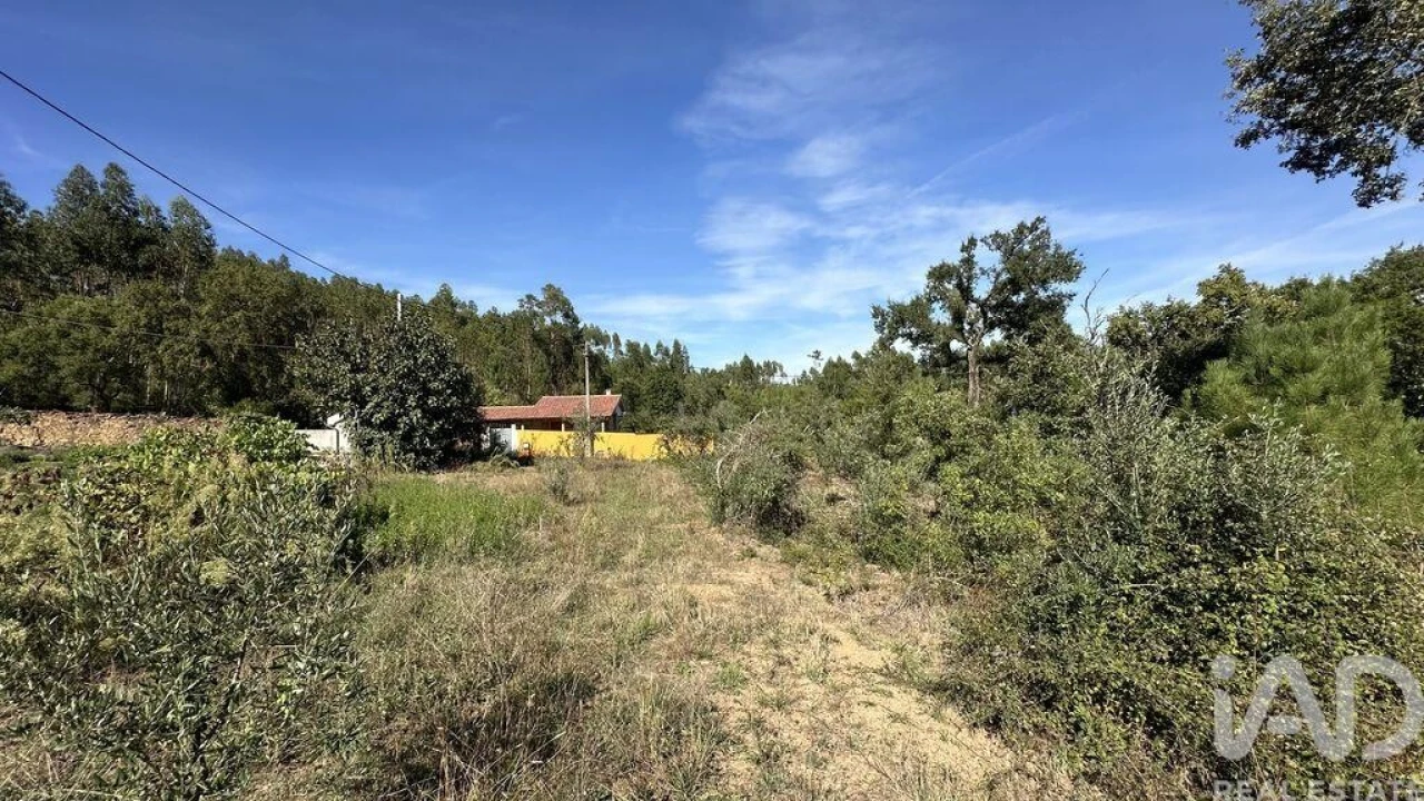 Terreno para Venda em Graça Foto 1