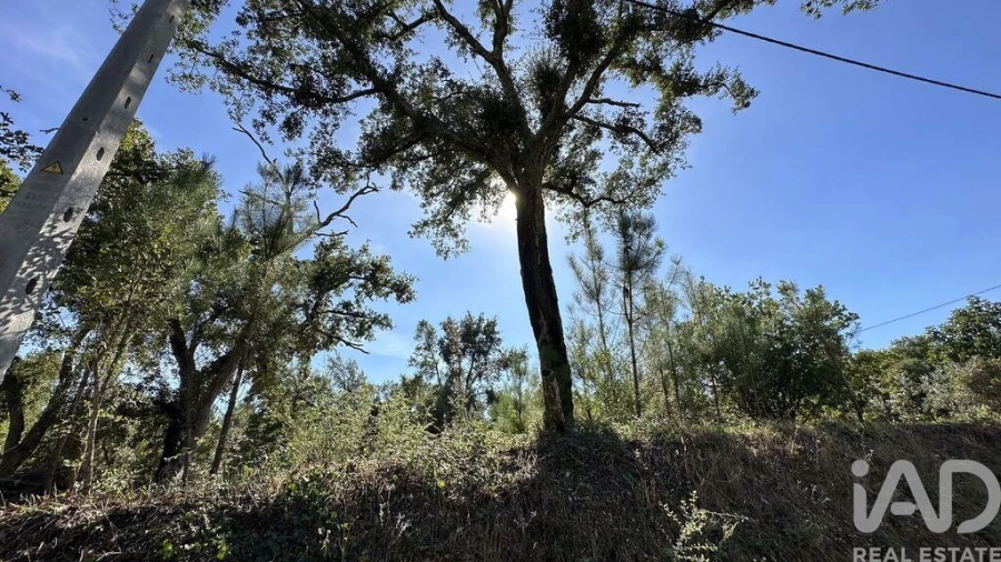 Terreno para Venda em Graça Foto 3