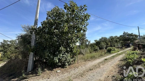 Terreno para Venda em Graça
