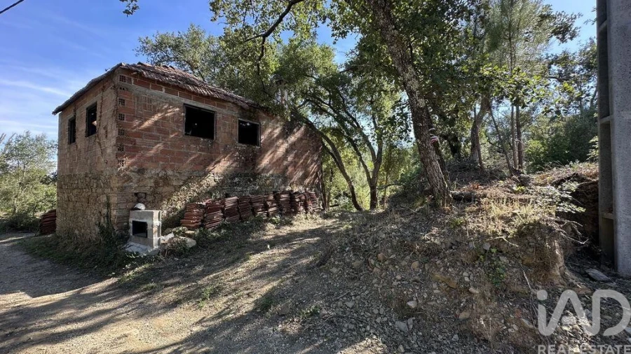Terreno para Venda em Graça Foto 5