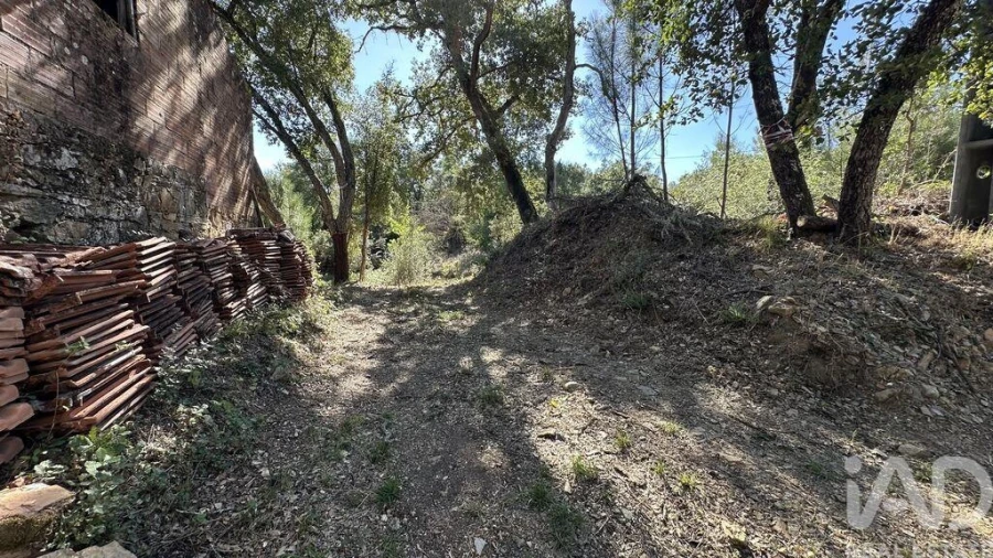 Terreno para Venda em Graça Foto 3