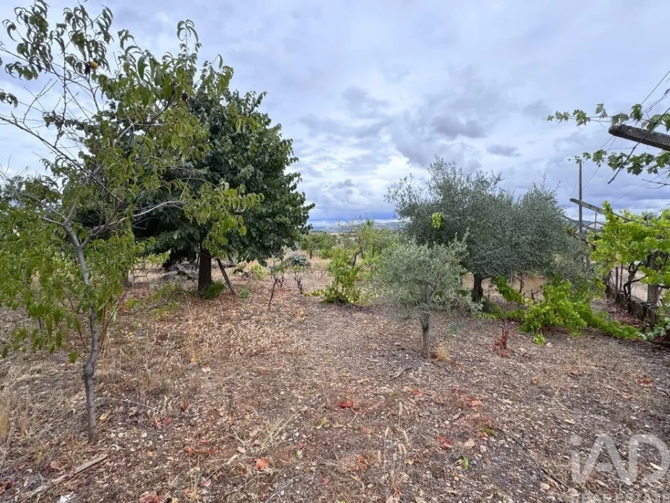 Moradia T4 para Venda em Sé, Santa Maria e Meixedo Foto 10