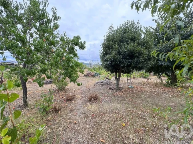 Moradia T4 para Venda em Sé, Santa Maria e Meixedo Foto 8