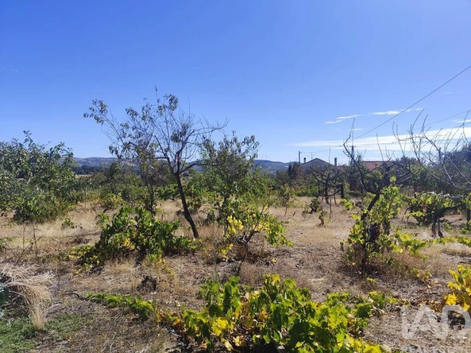 Moradia T4 para Venda em Sé, Santa Maria e Meixedo Foto 9