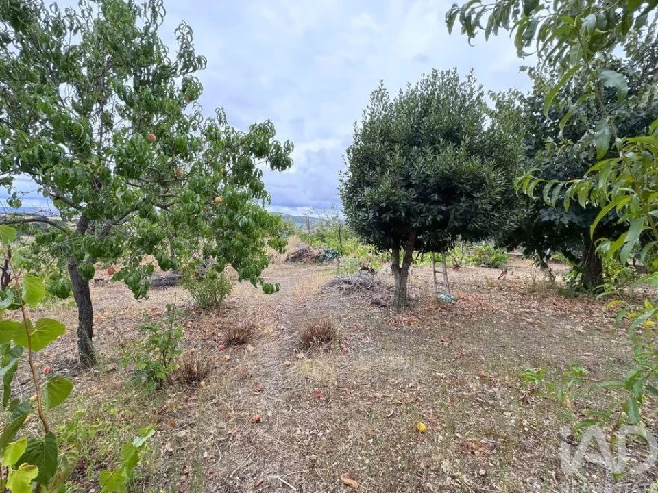 Moradia T4 para Venda em Sé, Santa Maria e Meixedo Foto 8