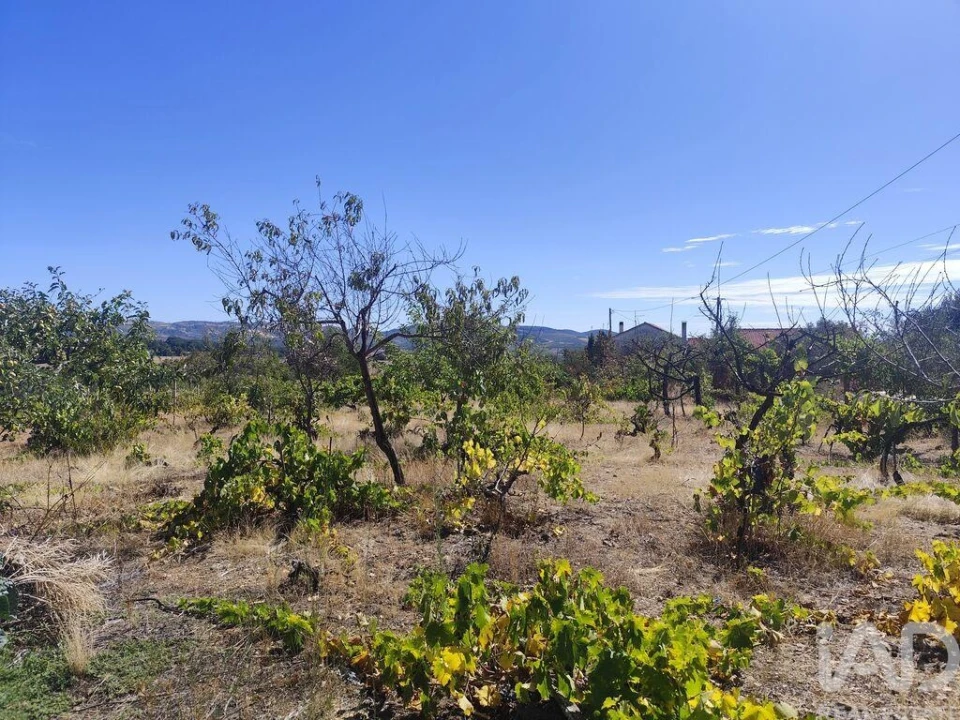 Moradia T4 para Venda em Sé, Santa Maria e Meixedo Foto 9