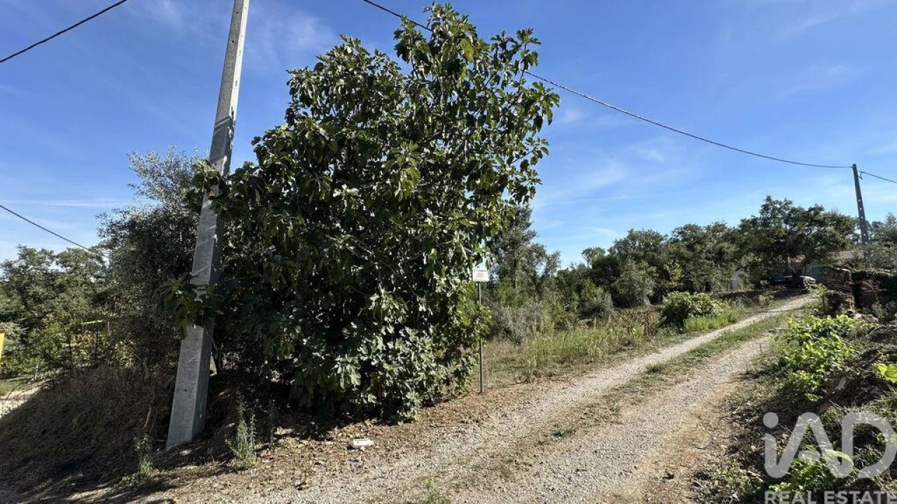 Terreno para Venda em Pedrogão Grande Foto 14