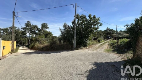 Terreno para Venda em Pedrogão Grande