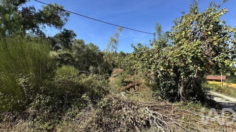 Terreno para Venda em Pedrogão Grande