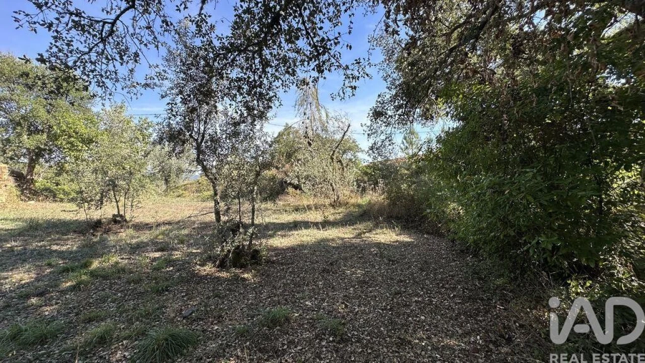 Terreno para Venda em Pedrogão Grande Foto 1