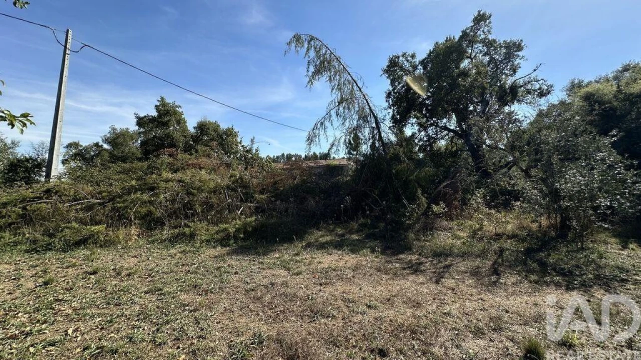 Terreno para Venda em Pedrogão Grande Foto 6
