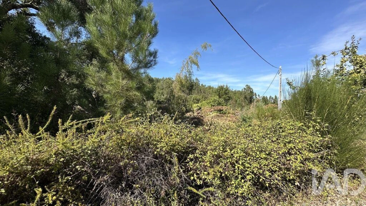 Terreno para Venda em Pedrogão Grande Foto 10