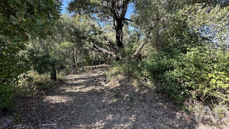 Terreno para Venda em Pedrogão Grande Foto 9