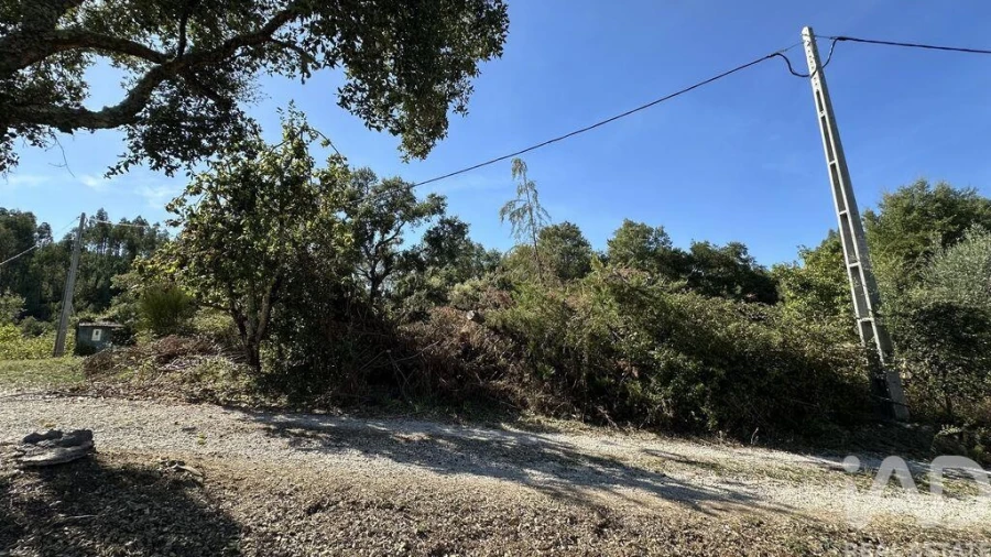 Terreno para Venda em Pedrogão Grande Foto 12