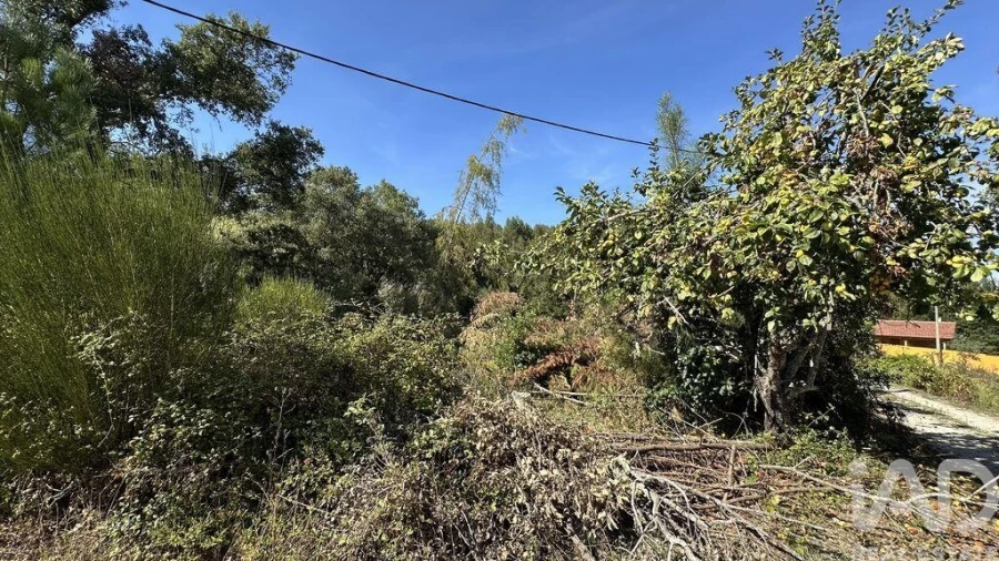 Terreno para Venda em Pedrogão Grande Foto 11