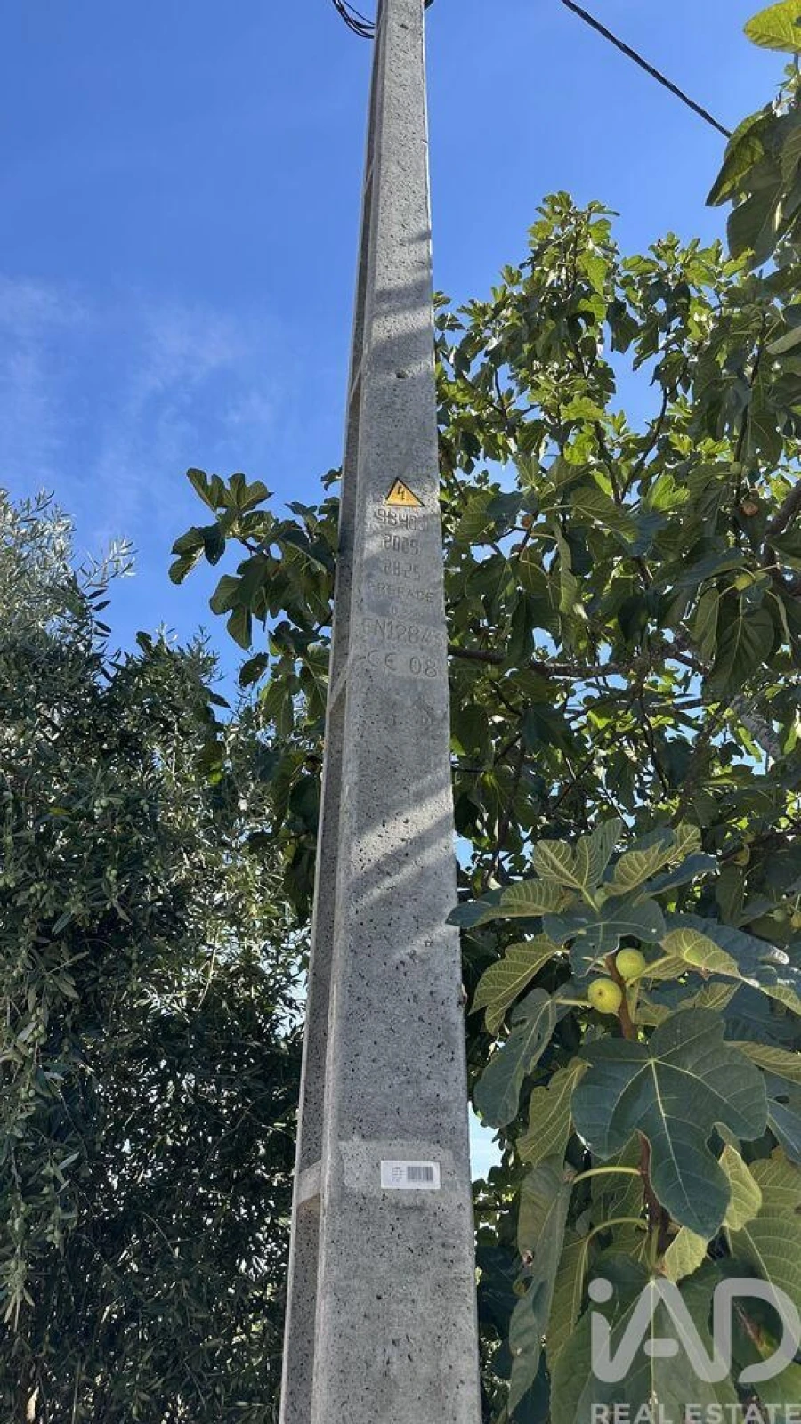 Terreno para Venda em Pedrogão Grande Foto 3