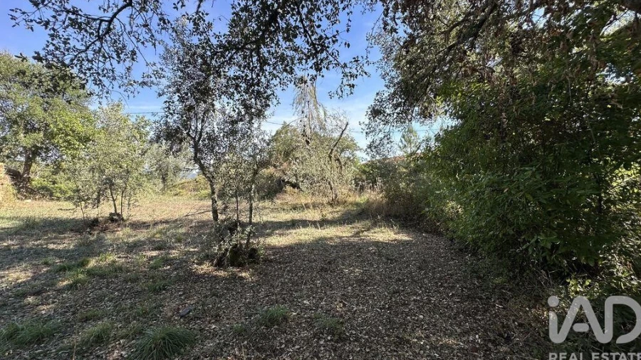 Terreno para Venda em Pedrogão Grande
