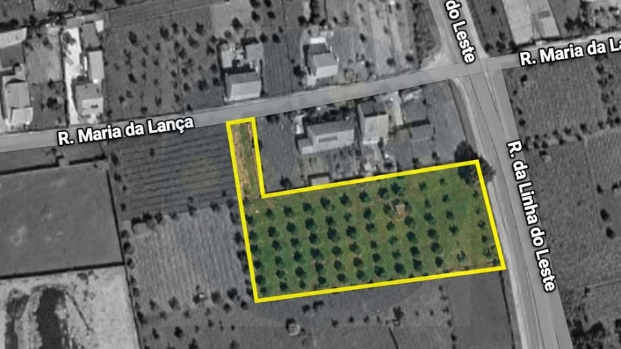 Terreno para Venda em São Miguel do Rio Torto e Rossio Ao Sul do Tejo