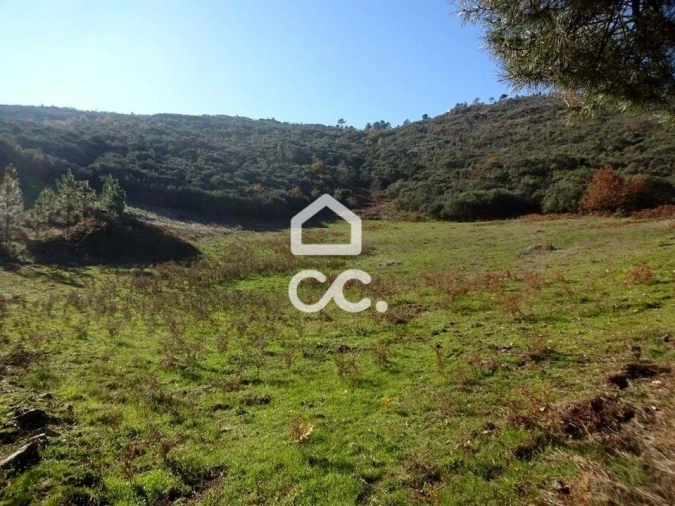 Terreno para Venda em São João da Fresta Foto 7