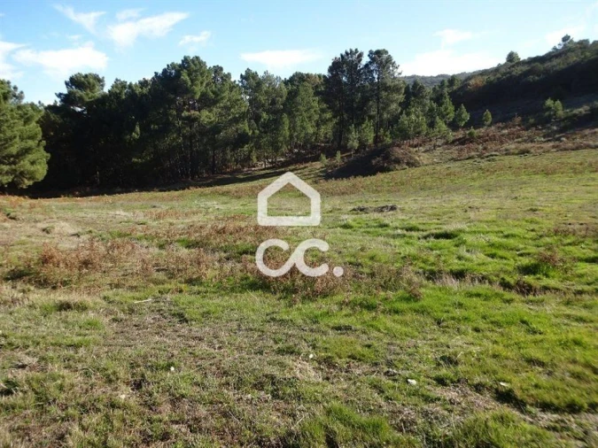 Terreno para Venda em São João da Fresta Foto 6