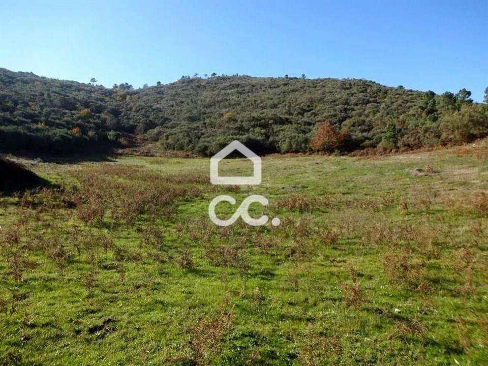 Terreno para Venda em São João da Fresta Foto 5
