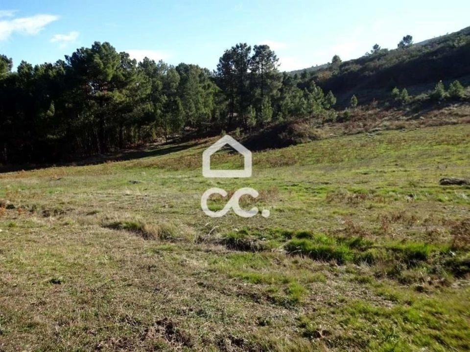 Terreno para Venda em São João da Fresta Foto 2