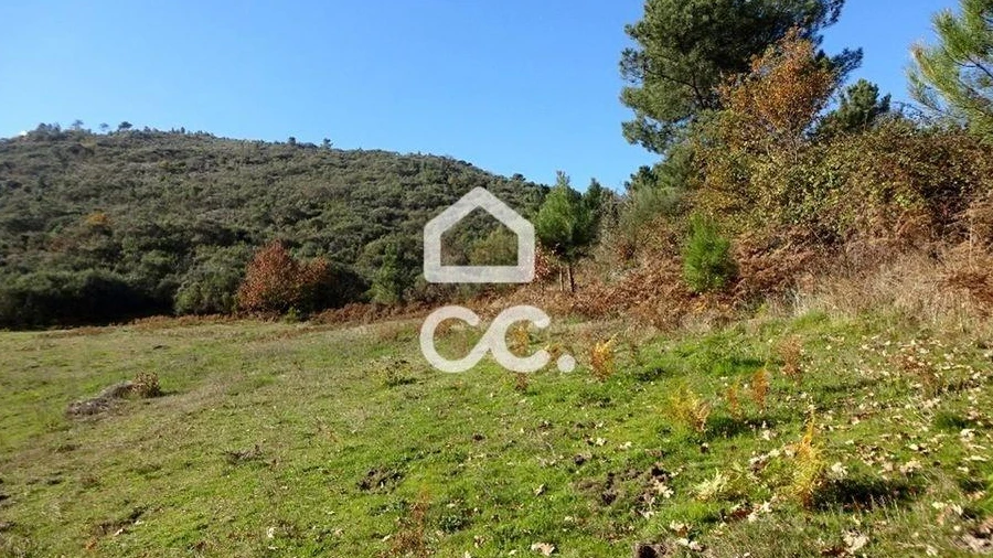 Terreno para Venda em São João da Fresta