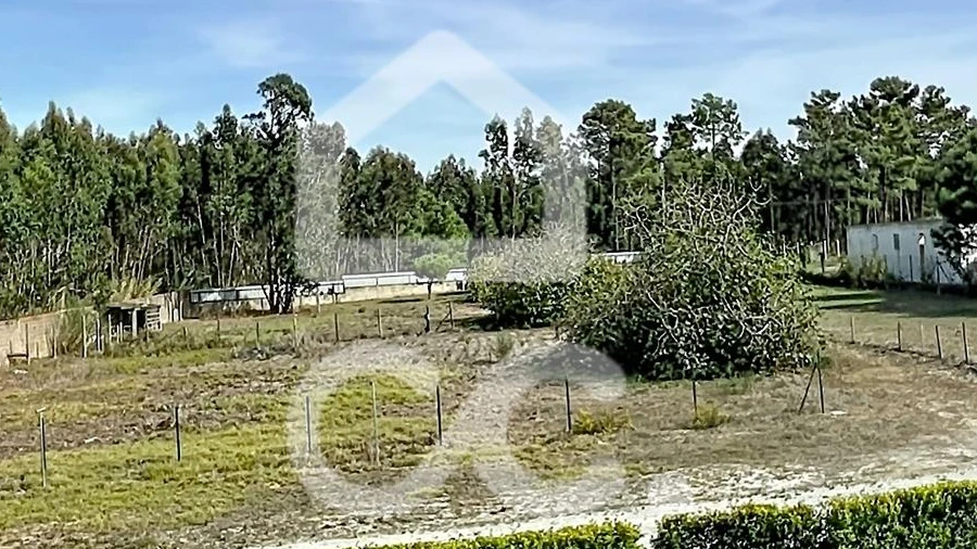 Moradia T6 para Venda em Caldas da Rainha - Santo Onofre e Serra do Bouro