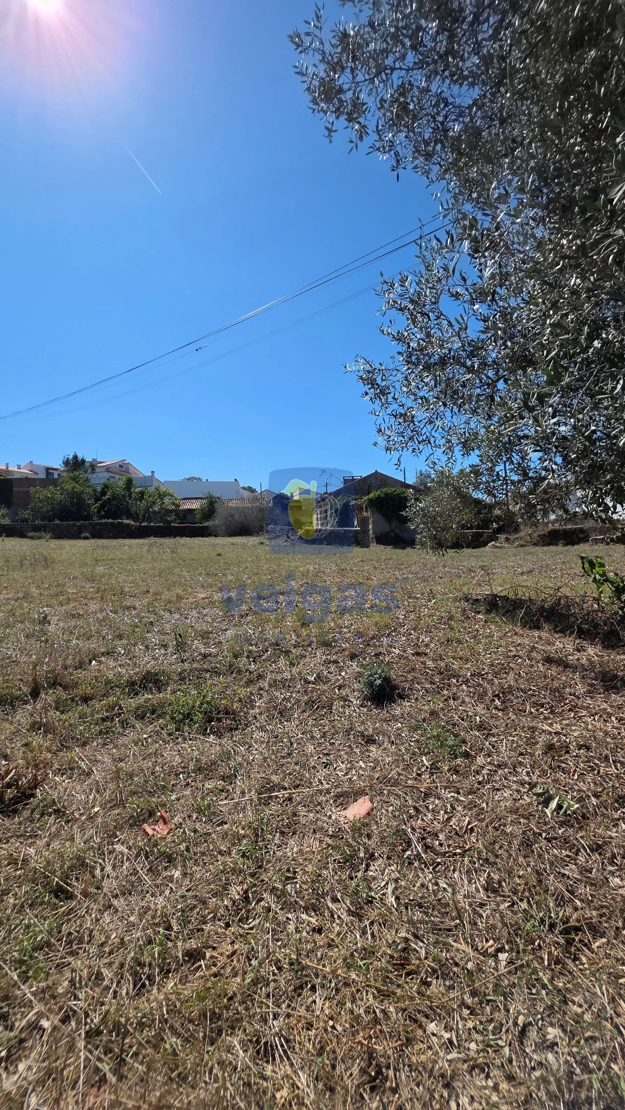 Moradia T4 para Venda em Monte Real e Carvide Foto 3