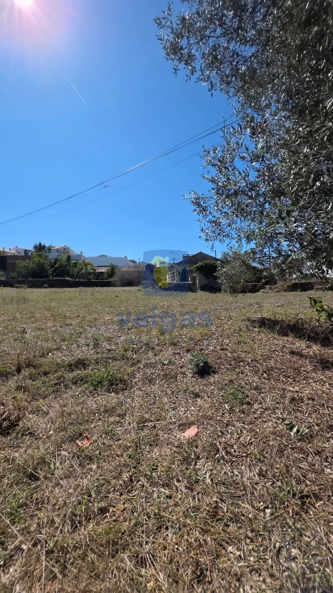 Moradia T4 para Venda em Monte Real e Carvide