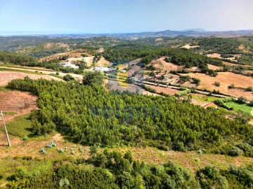 Terreno para Venda em Malveira e São Miguel de Alcainça