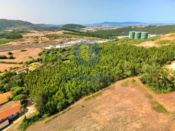 Terreno para Venda em Malveira e São Miguel de Alcainça