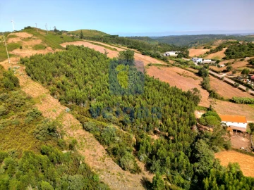 Terreno para Venda em Malveira e São Miguel de Alcainça