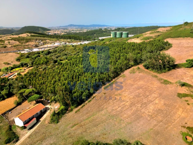 Terreno para Venda em Malveira e São Miguel de Alcainça Foto 4