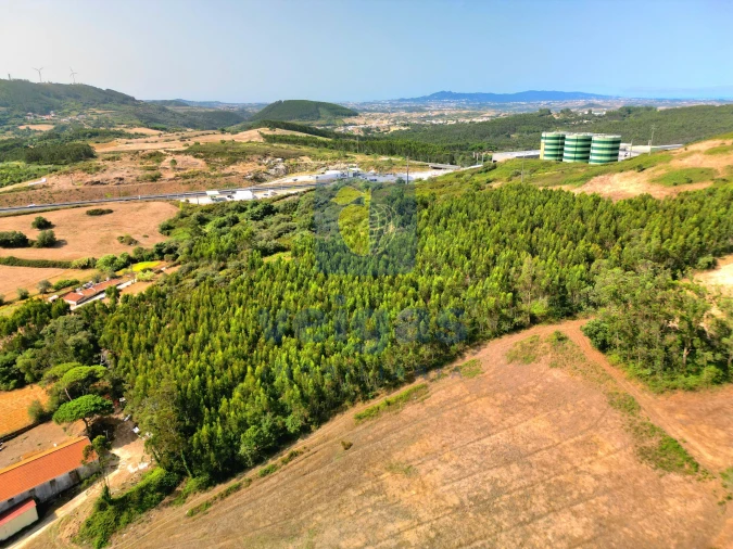 Terreno para Venda em Malveira e São Miguel de Alcainça Foto 5