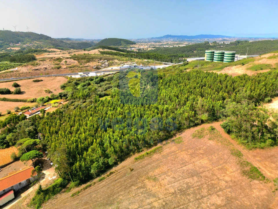 Terreno para Venda em Malveira e São Miguel de Alcainça Foto 5
