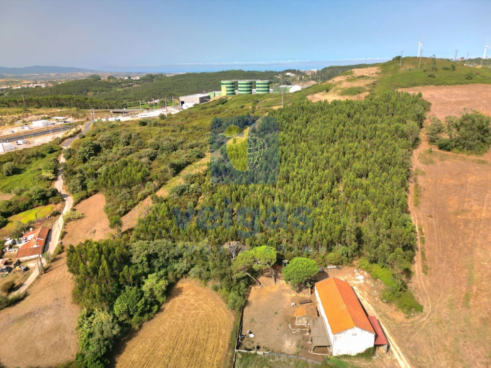 Terreno para Venda em Malveira e São Miguel de Alcainça Foto 3