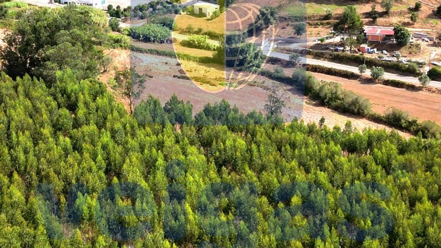 Terreno para Venda em Malveira e São Miguel de Alcainça