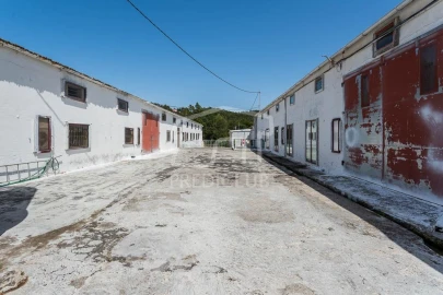 Terreno para Venda em Camacha
