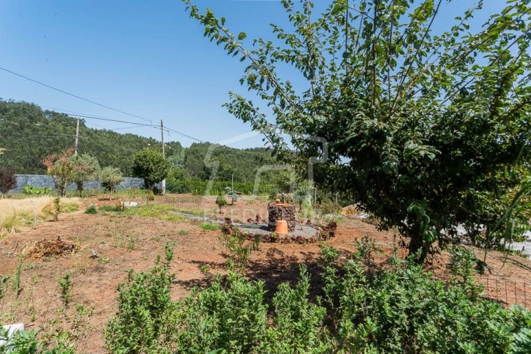 Terreno para Venda em Camacha Foto 8