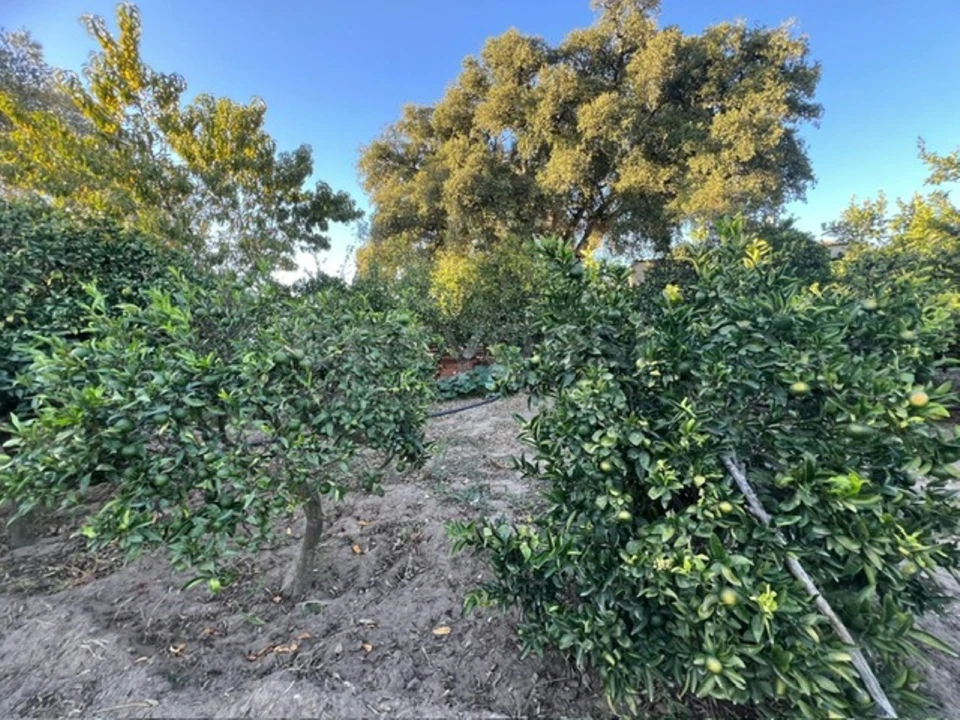 Quinta T2 para Venda em Poceirão e Marateca Foto 22